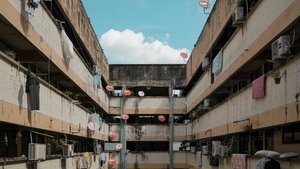 平行青春的我們